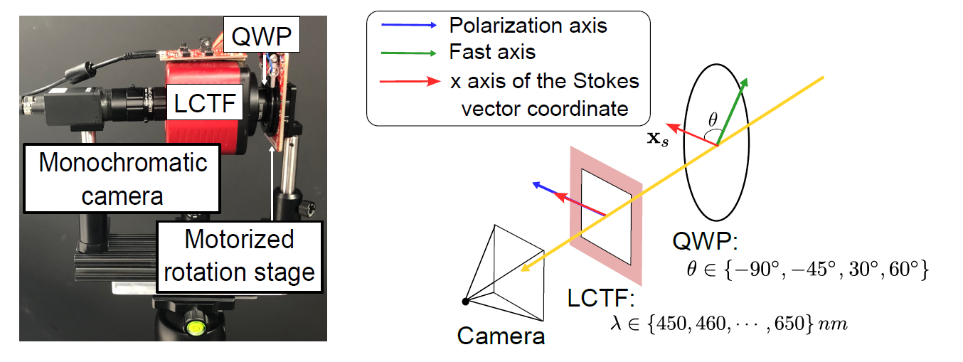 Network architecture.